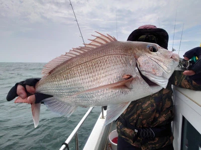 松島シーネットの2024年6月9日(日)3枚目の写真