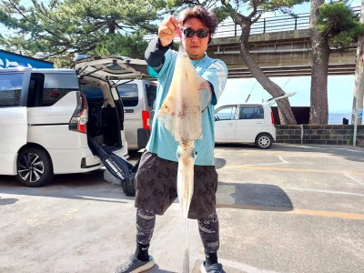 愛海丸の2024年6月11日(火)2枚目の写真