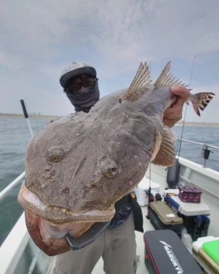 松島シーネットの2024年6月13日(木)3枚目の写真
