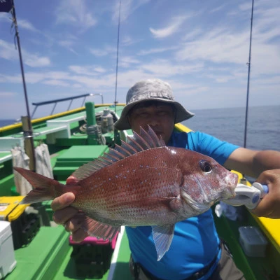 豊丸の2024年6月15日(土)2枚目の写真