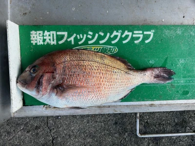 マルヒサ渡船の2024年6月19日(水)1枚目の写真