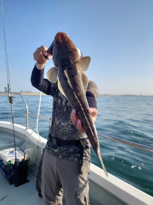 松島シーネットの2024年6月22日(土)5枚目の写真