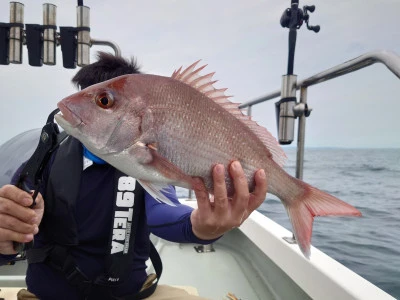 松島シーネットの2024年6月25日(火)5枚目の写真