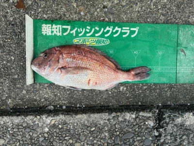マルヒサ渡船の2024年6月25日(火)4枚目の写真