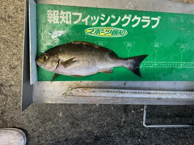 マルヒサ渡船の2024年6月26日(水)1枚目の写真