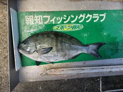 マルヒサ渡船の2024年6月26日(水)2枚目の写真