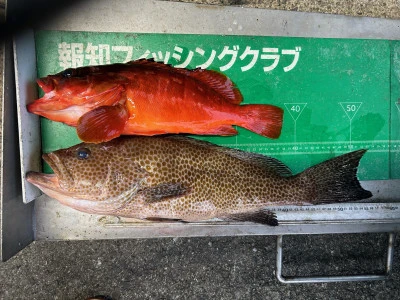 マルヒサ渡船の2024年6月26日(水)4枚目の写真