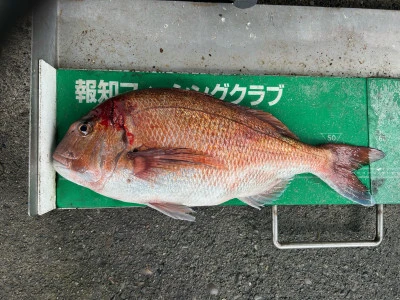 マルヒサ渡船の2024年7月1日(月)1枚目の写真
