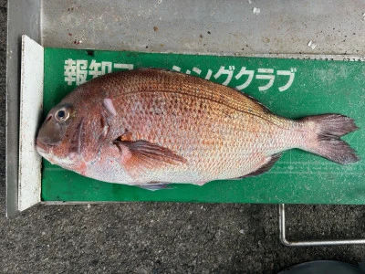 マルヒサ渡船の2024年7月2日(火)1枚目の写真