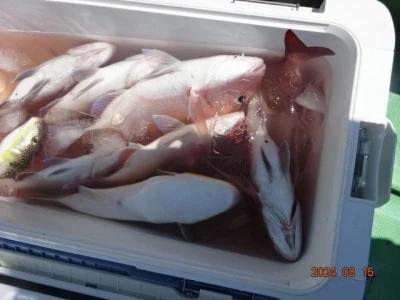 大栄丸の2024年8月15日(木)4枚目の写真