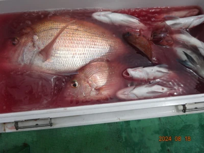 大栄丸の2024年8月18日(日)3枚目の写真