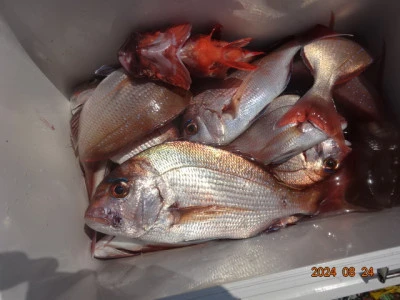 大栄丸の2024年8月24日(土)1枚目の写真