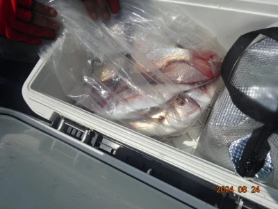 大栄丸の2024年8月24日(土)3枚目の写真