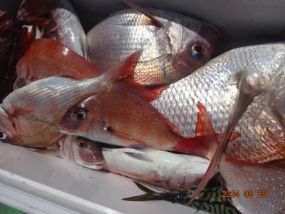 大栄丸の2024年8月25日(日)2枚目の写真