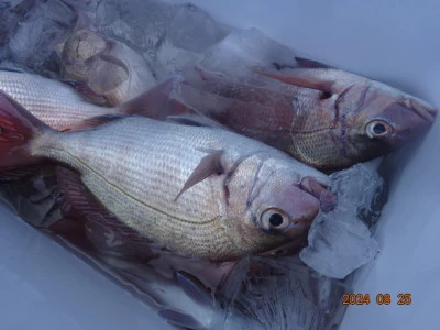 大栄丸の2024年8月25日(日)3枚目の写真