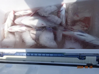 大栄丸の2024年8月25日(日)4枚目の写真