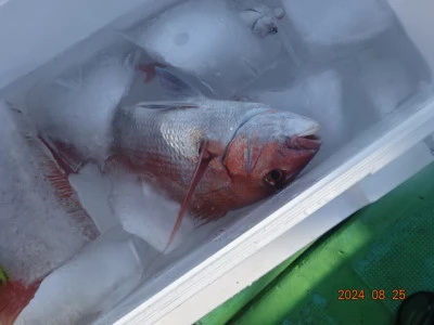 大栄丸の2024年8月25日(日)5枚目の写真