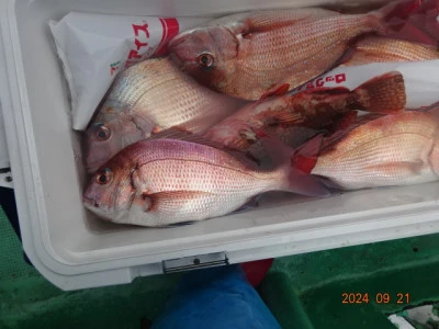 大栄丸の2024年9月21日(土)2枚目の写真