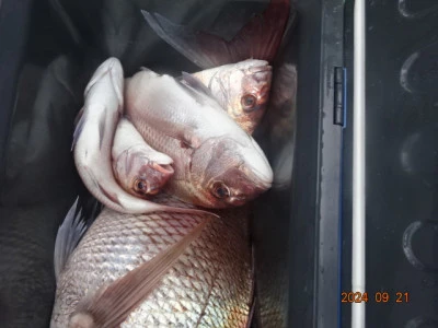 大栄丸の2024年9月21日(土)3枚目の写真