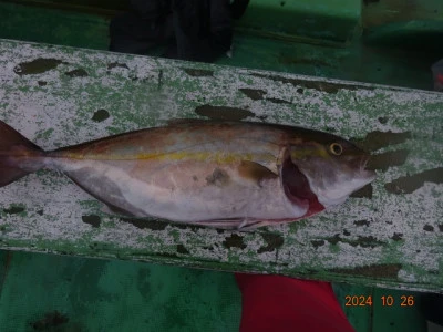 大栄丸の2024年10月26日(土)5枚目の写真