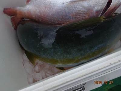 大栄丸の2024年10月27日(日)2枚目の写真