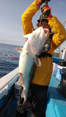 釣りキチ丸の2024年11月26日(火)1枚目の写真