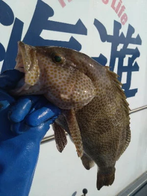 中山総合釣センター・海遊の2024年11月8日(金)4枚目の写真