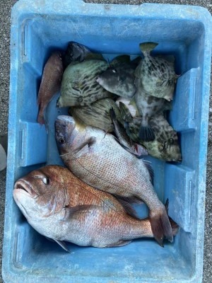 釣り筏 宇和海の2024年12月1日(日)1枚目の写真