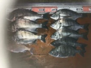 民宿とねの2024年12月2日(月)2枚目の写真