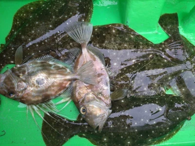 弘漁丸の2024年12月11日(水)5枚目の写真