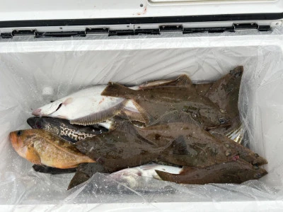 漁恵丸の2024年12月15日(日)1枚目の写真