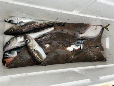 漁恵丸の2024年12月15日(日)2枚目の写真