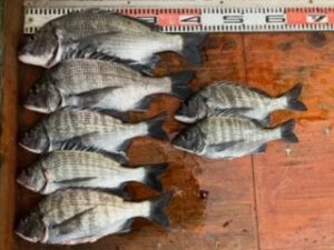 民宿とねの2024年12月11日(水)1枚目の写真