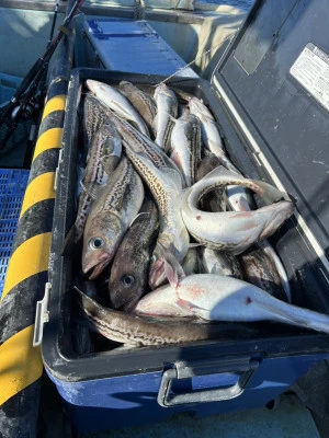 漁恵丸の2025年1月3日(金)1枚目の写真