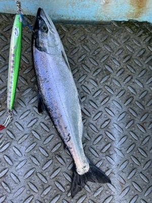 漁恵丸の2025年1月3日(金)3枚目の写真