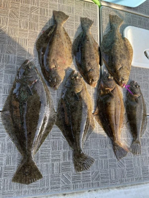 釣り船 SIXTH SENCEの2025年1月3日(金)5枚目の写真