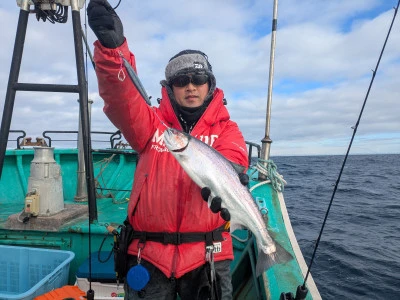 タマリスクの2025年1月11日(土)1枚目の写真