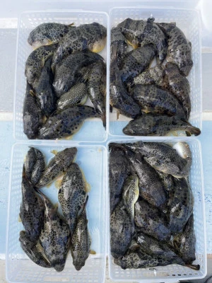 松新丸の2024年12月29日(日)5枚目の写真