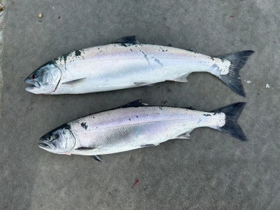 漁恵丸の2025年1月24日(金)1枚目の写真