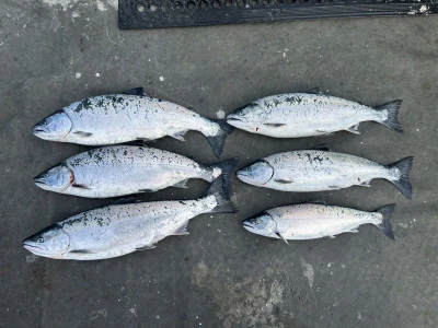 漁恵丸の2025年1月24日(金)3枚目の写真