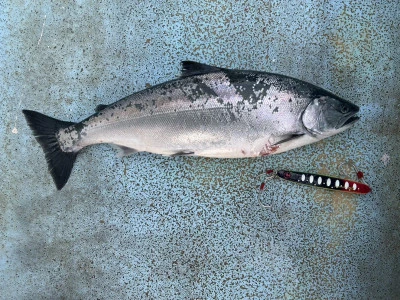 漁恵丸の2025年1月24日(金)4枚目の写真