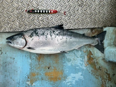 漁恵丸の2025年1月24日(金)5枚目の写真