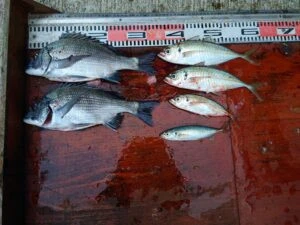 民宿とねの2025年1月20日(月)2枚目の写真