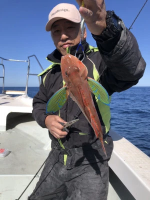ARCADIA SALTWATER SERVICEの2025年2月15日(土)4枚目の写真