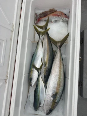 武蔵丸の2025年2月15日(土)5枚目の写真