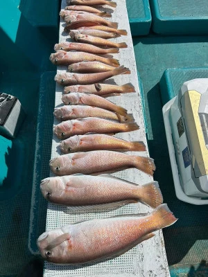 海迅丸の2025年2月27日(木)4枚目の写真