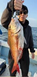 菜々海IIの2025年3月9日(日)1枚目の写真