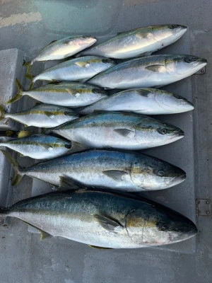 武蔵丸の2025年3月8日(土)3枚目の写真