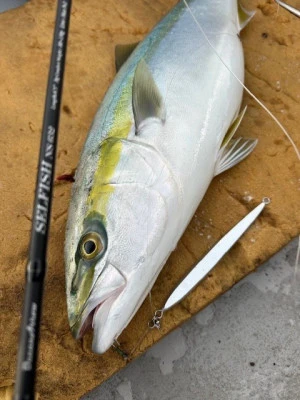 武蔵丸の2025年3月8日(土)4枚目の写真