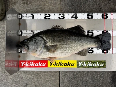Y企画の2025年3月11日(火)3枚目の写真